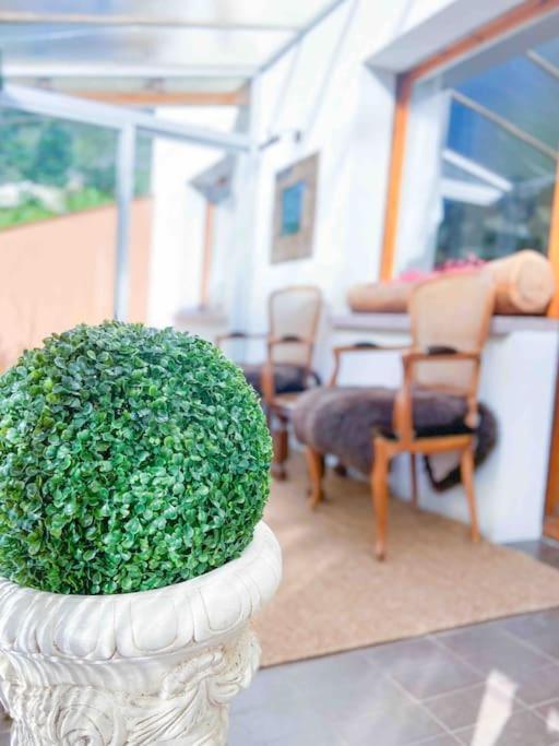 Tipica Casa Andorrana En Encamp L By Bonesvacances Zewnętrze zdjęcie